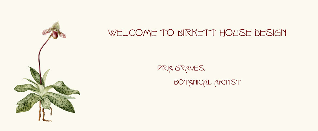 Welcome to Birkett House Design